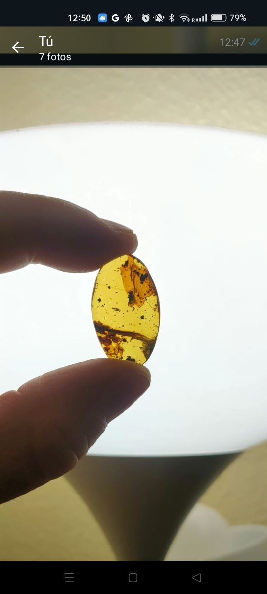 Ámbar con inclusión de insecto