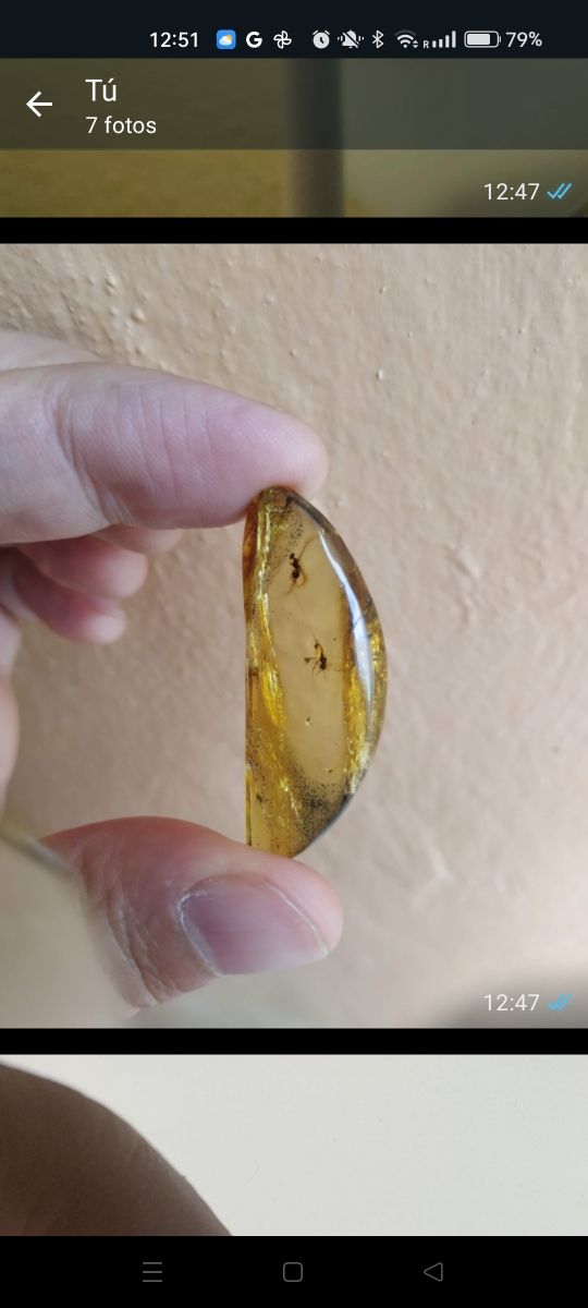 Ámbar con inclusión de insecto