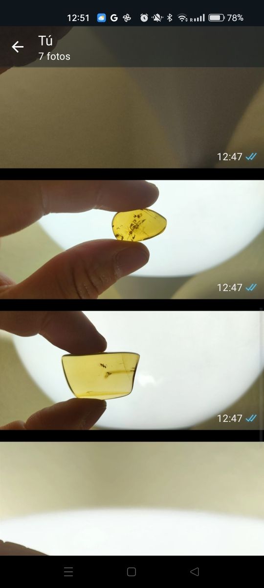 Ámbar con inclusión de insecto