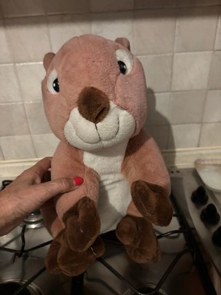 Peluche Scoiattolo Lind