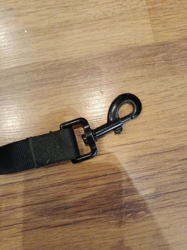 Correa de entrenamiento para perros.