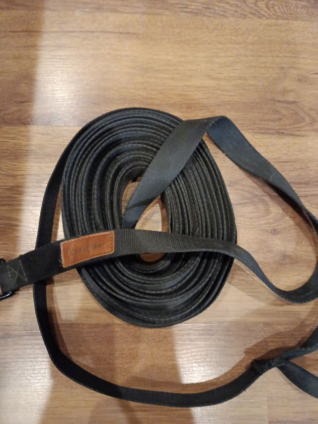 Correa de entrenamiento para perros.