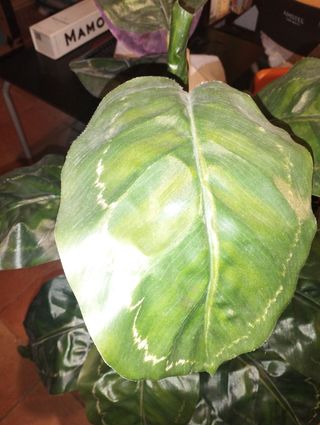 Planta artificial 