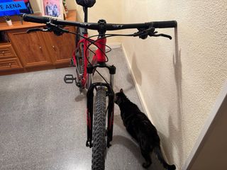 Bicicleta Montaña NTT Sport 60 Roja