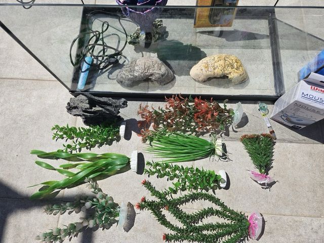 Acuario con tapa y luz