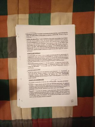 Apuntes asignatura Fonts Històriques