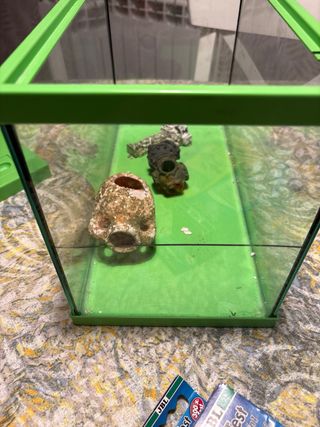 Pecera verde con motor y accesorios