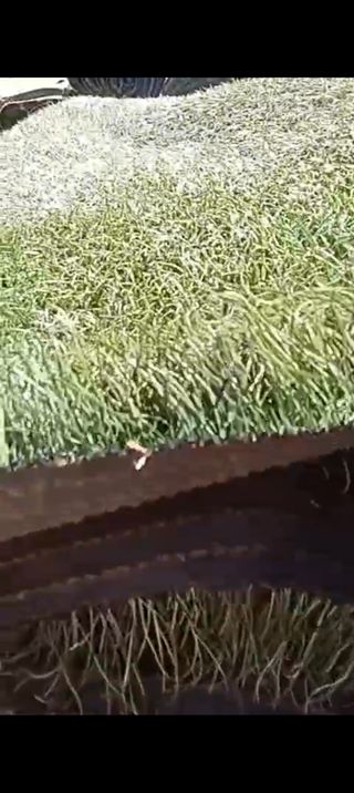 Césped de campo de fútbol reutilizado