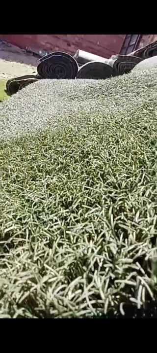 Césped de campo de fútbol reutilizado