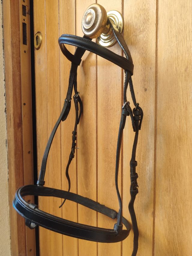 Cabezada de caballo de cuero negro