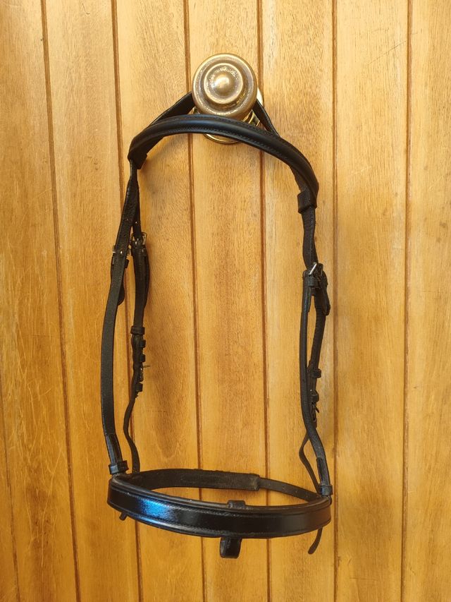 Cabezada de caballo de cuero negro