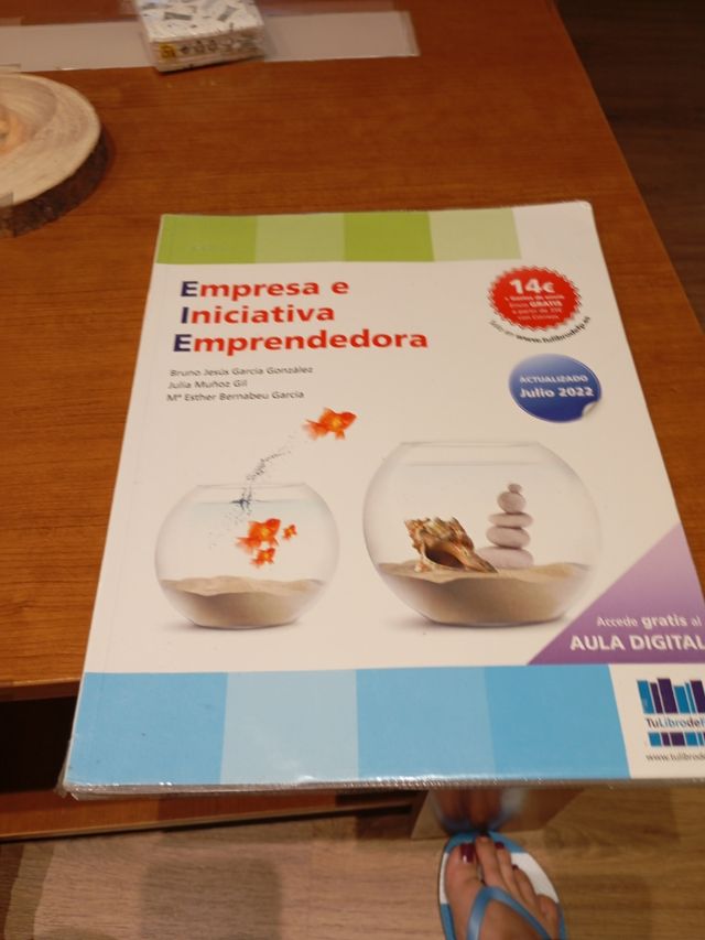 EMPRESA E INICIATIVA EMPRENDEDORA