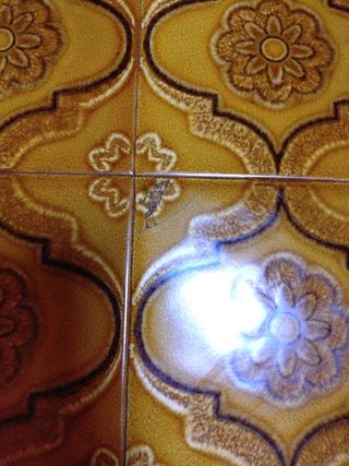 Mesa de centro antigua de azulejos y madera