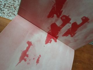 2 Libros muy antiguos 