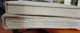 2 Libros muy antiguos 