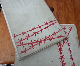 2 Libros muy antiguos 