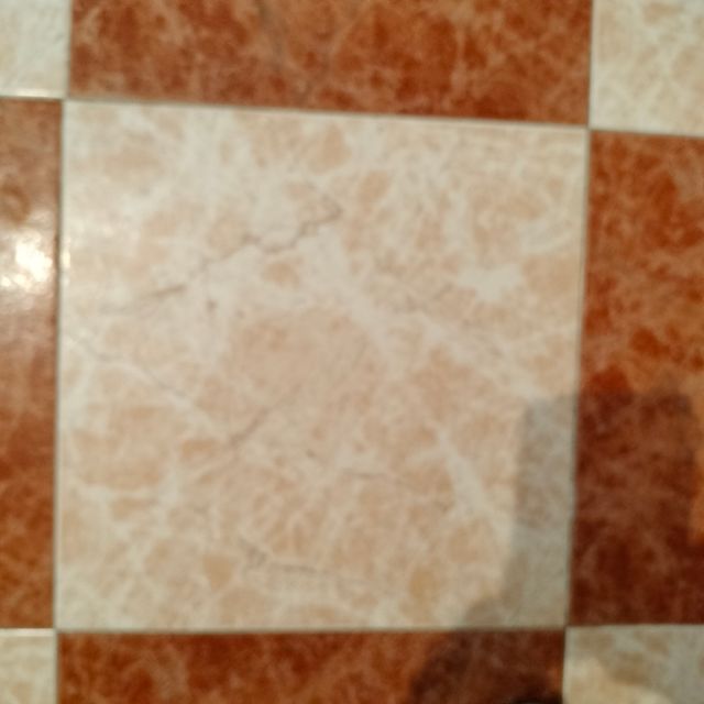 Plaqueta de 2 colores