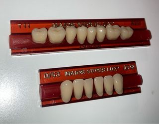 Dientes de cera para prótesis dental (inferiores)