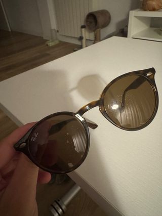 Gafas de Sol Ray-Ban Dark Havana 49