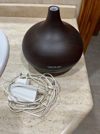 Humidificador Cecotec Marrón