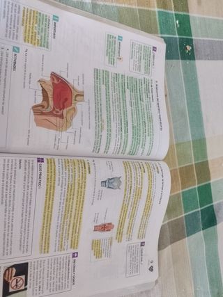 Anatomofisiología y Patología Básicas - CFGM Sanid