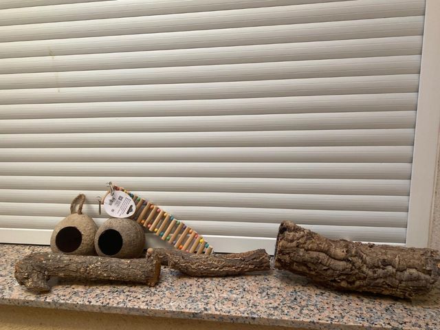 Lote decoración terrario