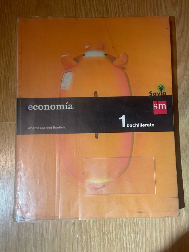 Libro economía 1º bachillerato editorial SM