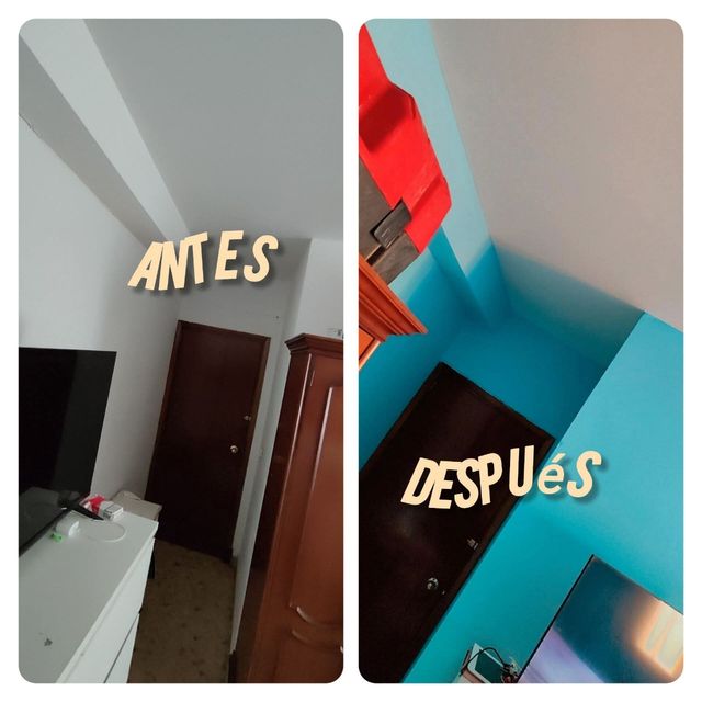 Pintor profesional Madrid