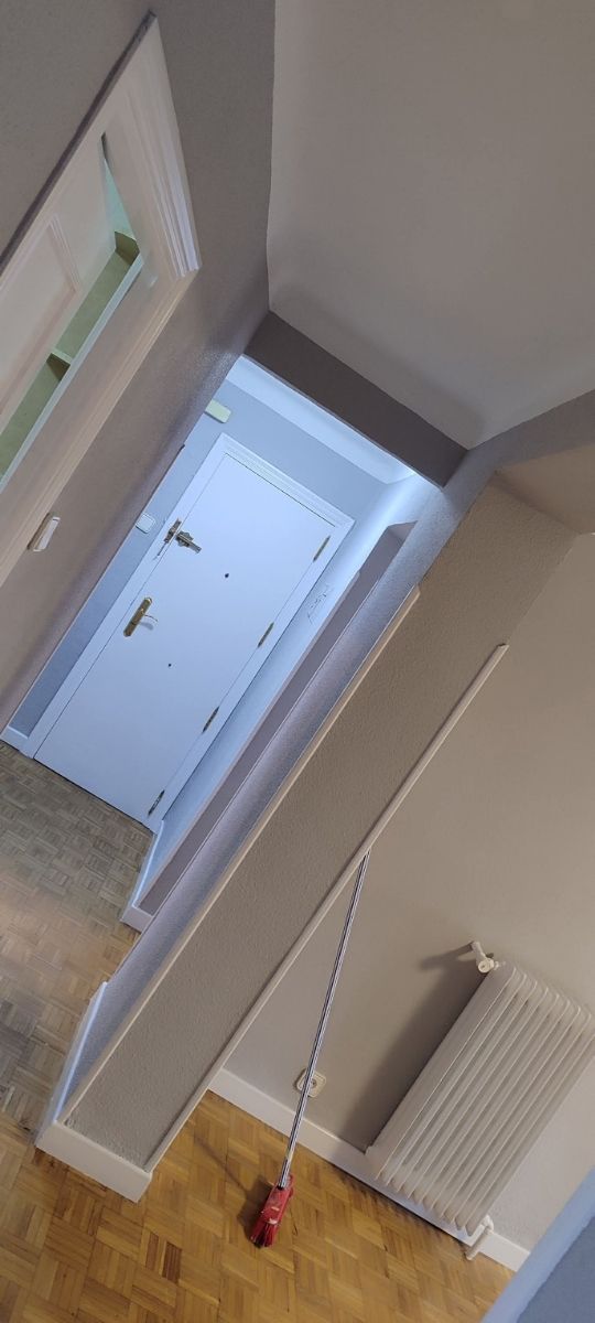 Pintor profesional Madrid