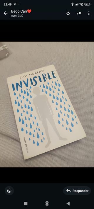 Invisible / Invisible (Spanish Edition)