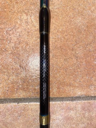 Caña de Pesca Shimano Jig W Rex
