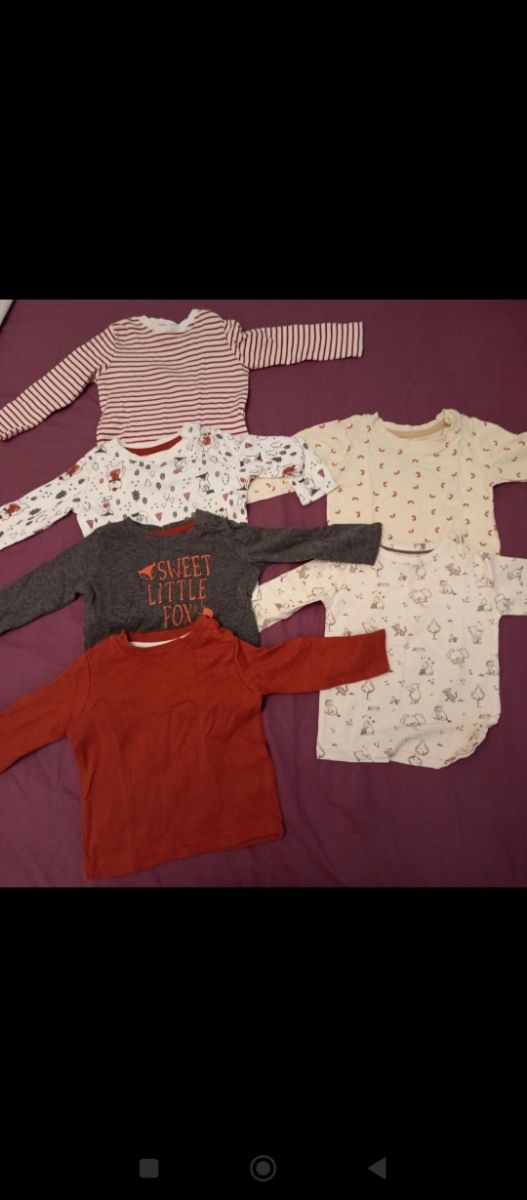 Lote 5 Camisetas Manga Larga Bebé