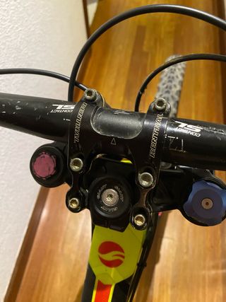 Giant Glory 2 2016 DH