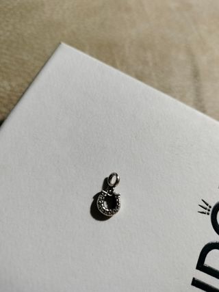 Charms Pandora Moments