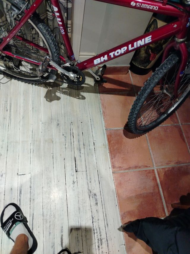 1/100 Reliquia Bicicleta clásicaBH TopLine urbana