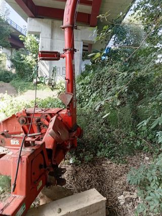 Cosechadora de maíz SIP 80