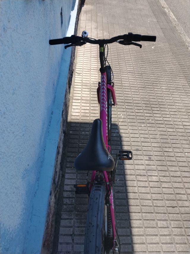 Se vende bici de montaña