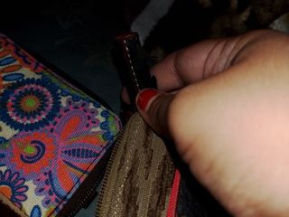 Lote 2 Carteras Lois y Caminatta Bags