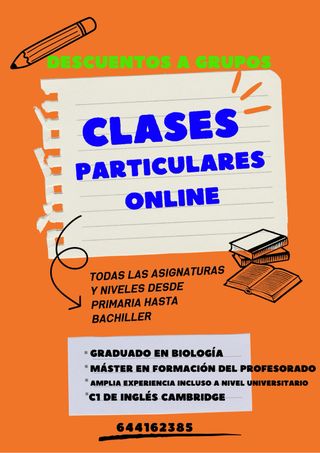 Clases particulares online