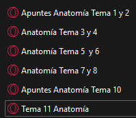 Apuntes GM TES Anatomía