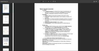 Apuntes GM TES Anatomía