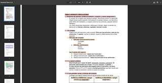 Apuntes GM TES Anatomía