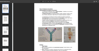 Apuntes GM TES Anatomía
