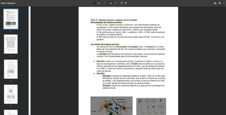 Apuntes GM TES Anatomía