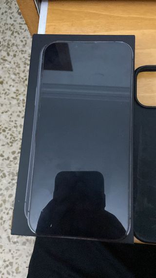 iPhone 13 Pro Max y IPad