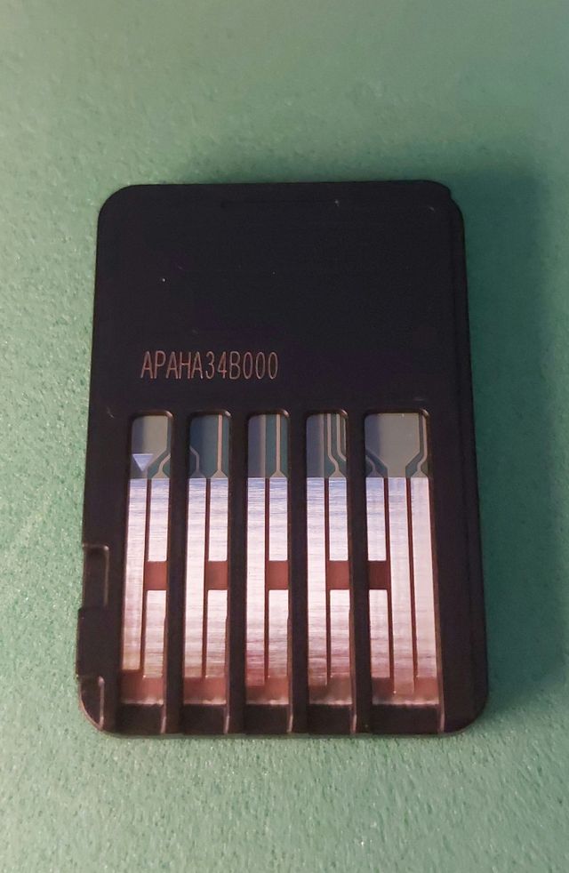 Dust: Una coda elisiana - Nintendo Switch