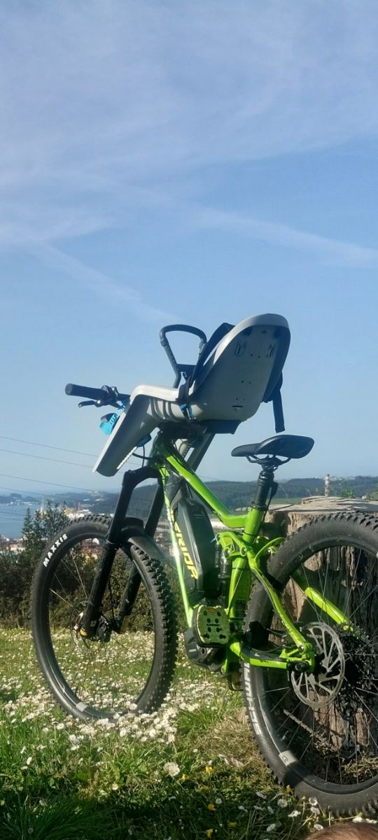 Seggiolino per bicicletta per bambini Thule Ridealong Mini