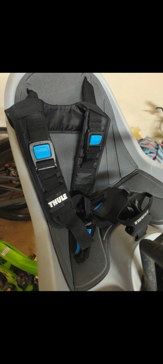 Seggiolino per bicicletta per bambini Thule Ridealong Mini