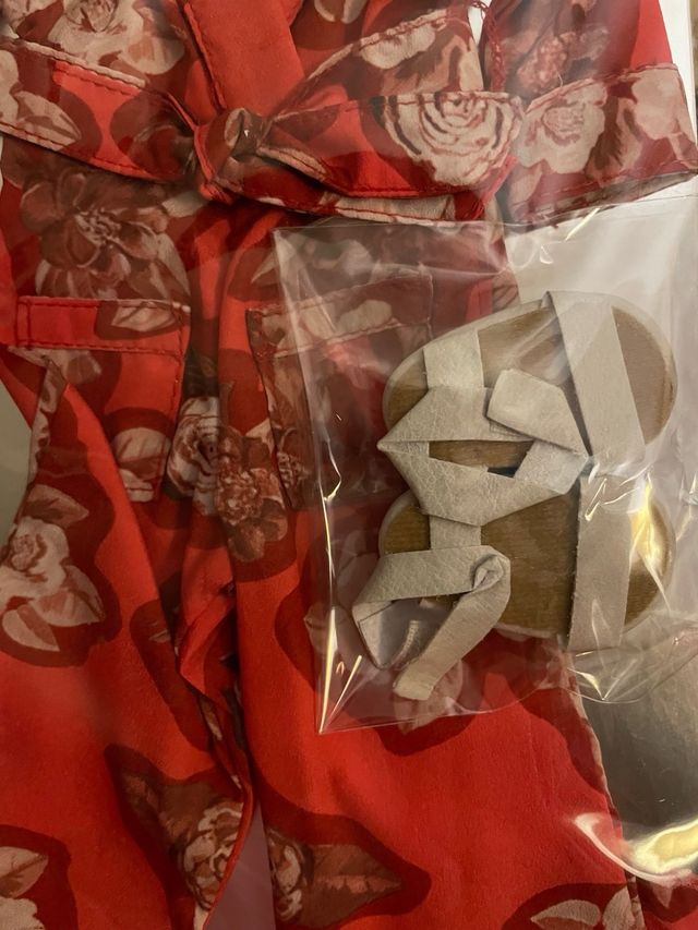 Mono y zapatos nancy grandes diseñadores .