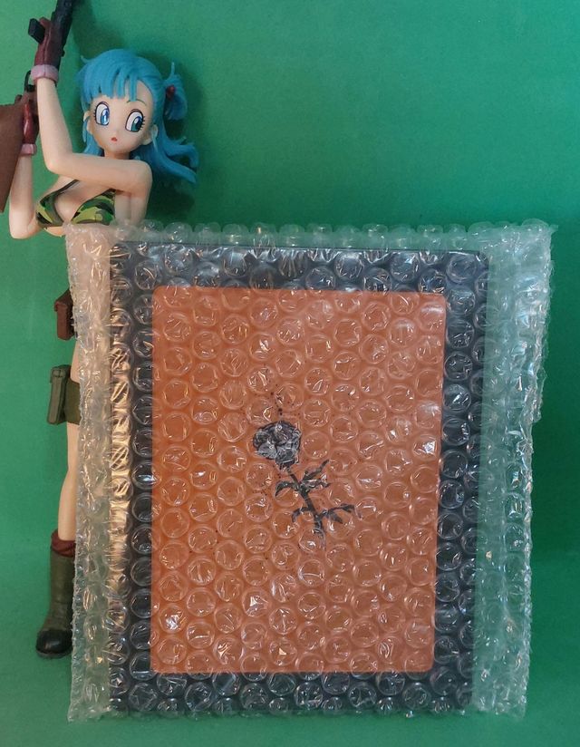 Post Void Steelbook PS5